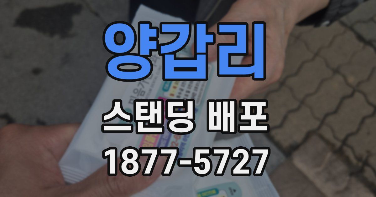 양갑리 스탠딩 배포