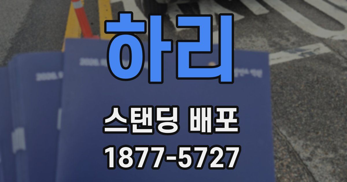 하리 스탠딩 배포