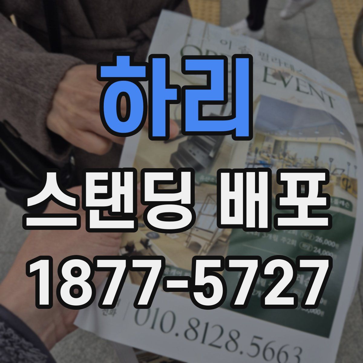 하리 스탠딩 배포