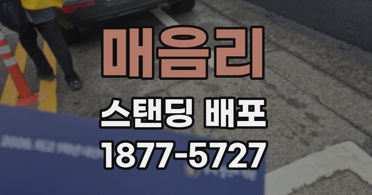 매음리 스탠딩 배포