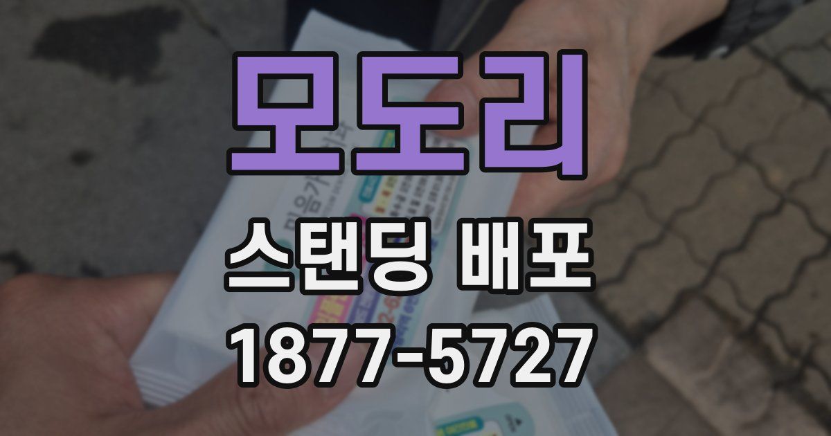 모도리 스탠딩 배포