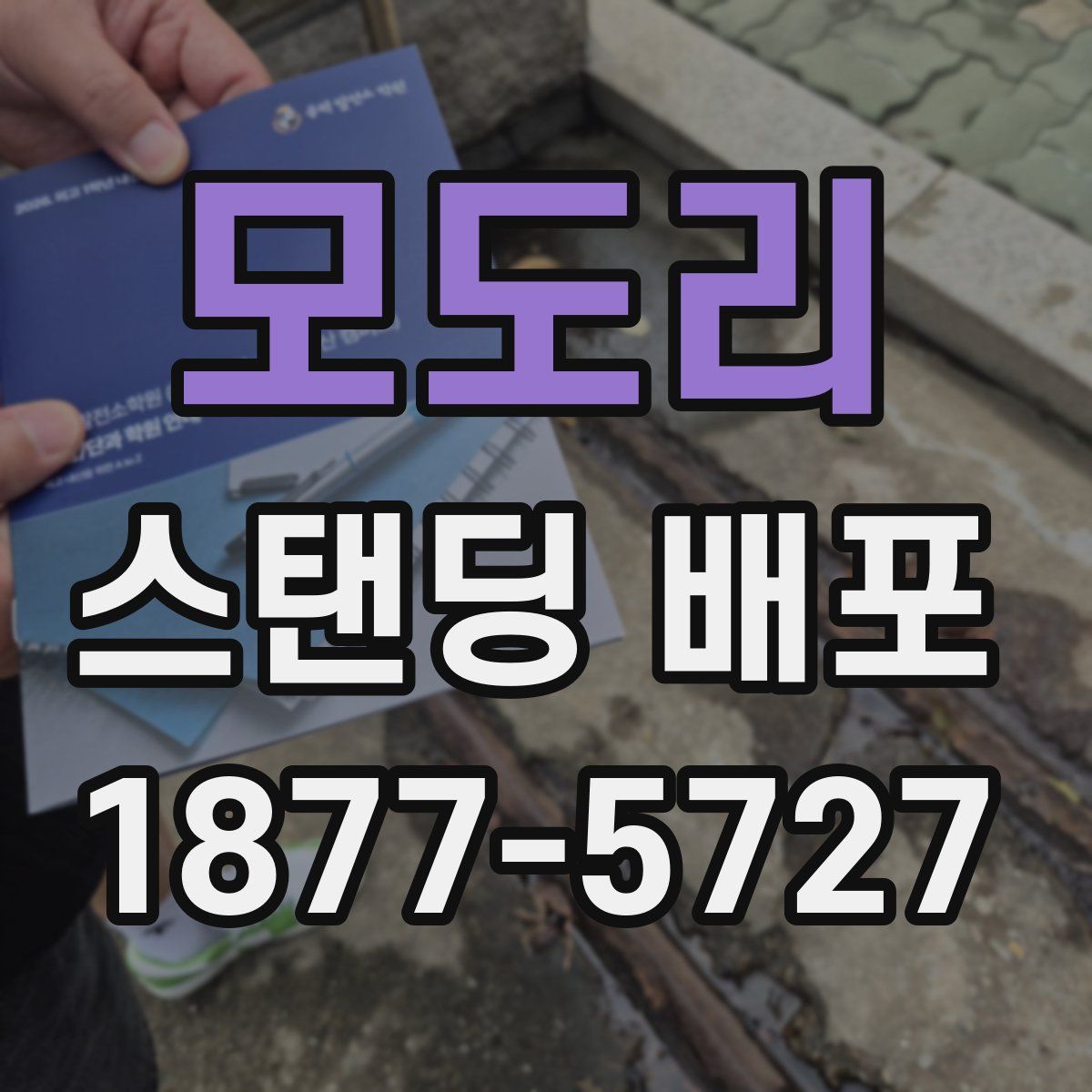 모도리 스탠딩 배포