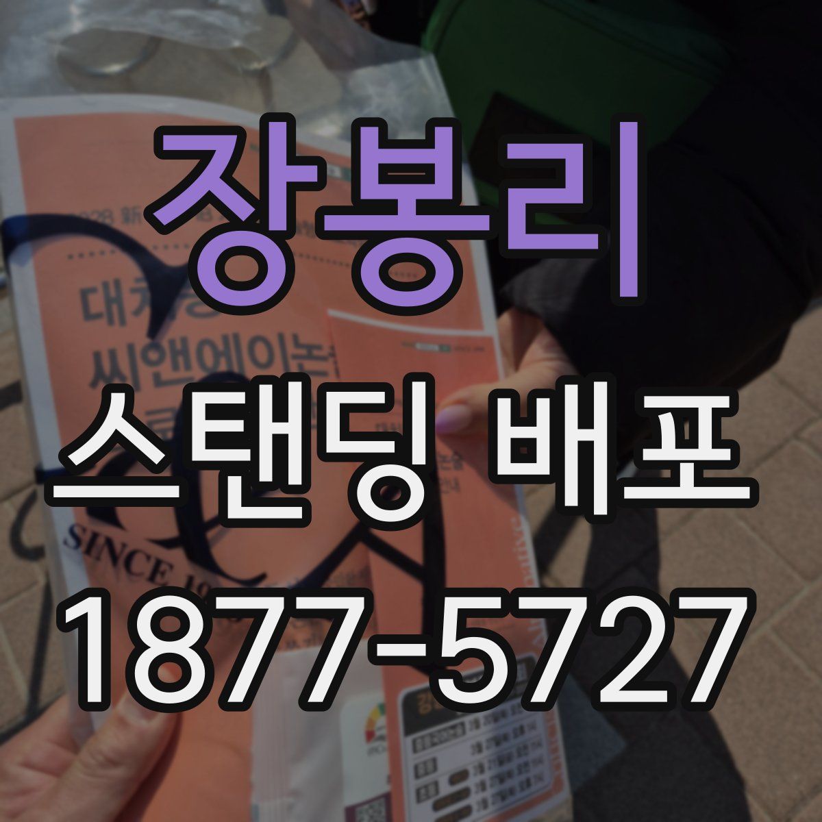 장봉리 스탠딩 배포