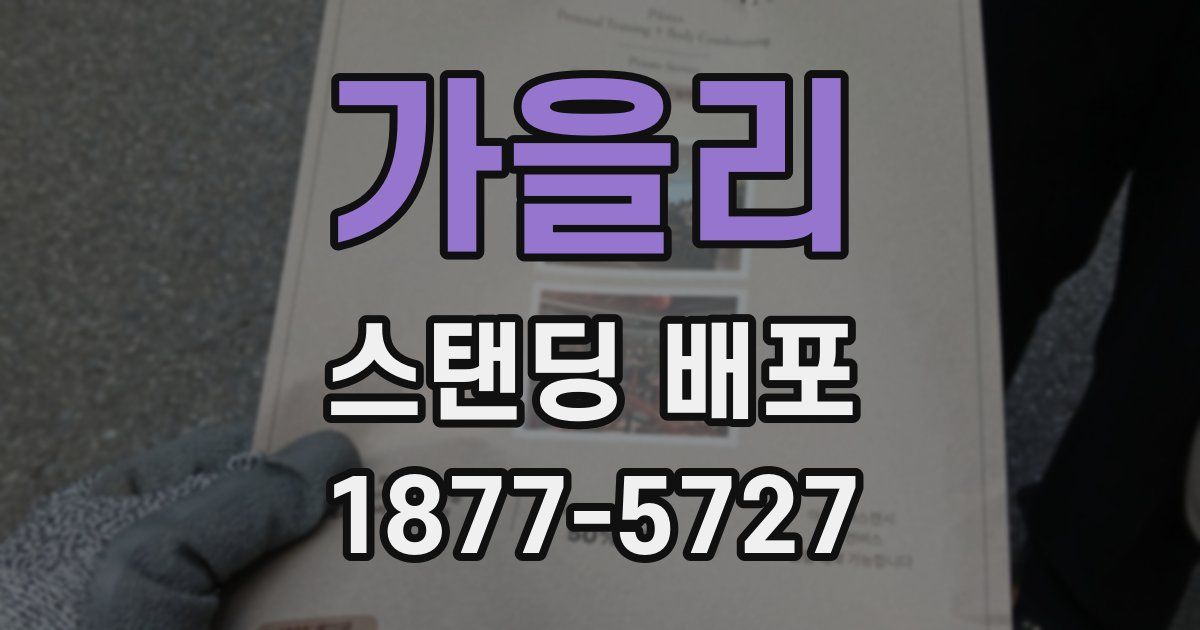 가을리 스탠딩 배포