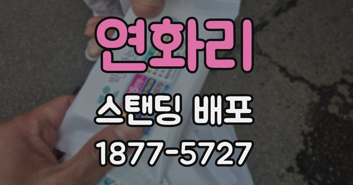 연화리 스탠딩 배포