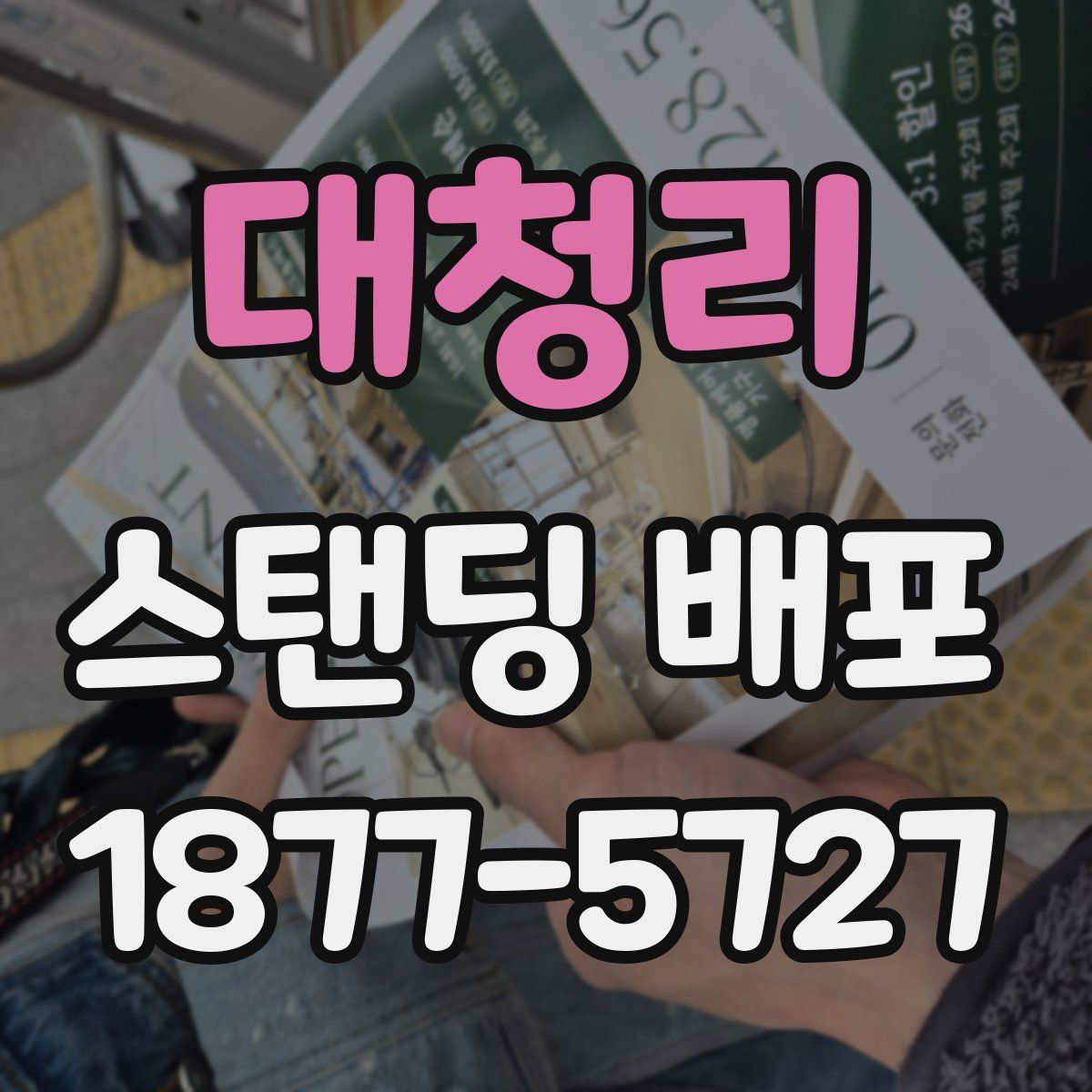대청리 스탠딩 배포