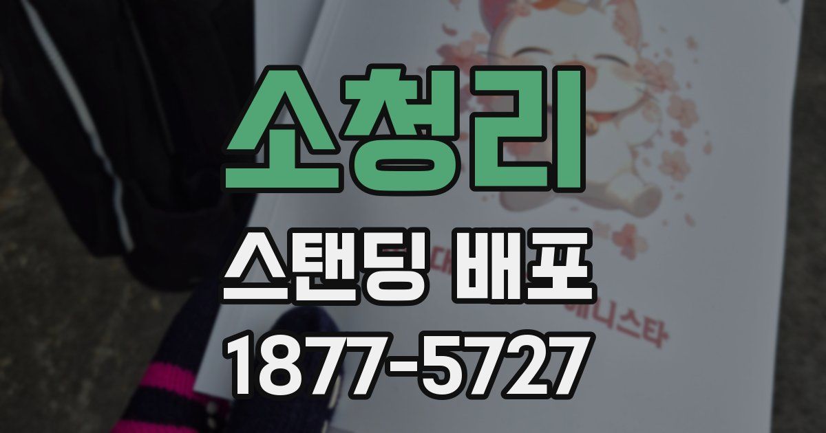 소청리 스탠딩 배포