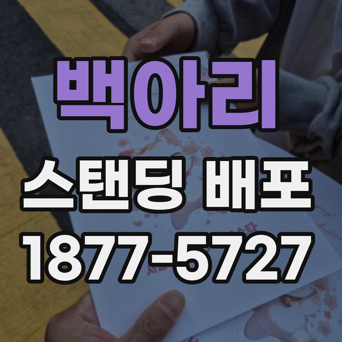 백아리 스탠딩 배포