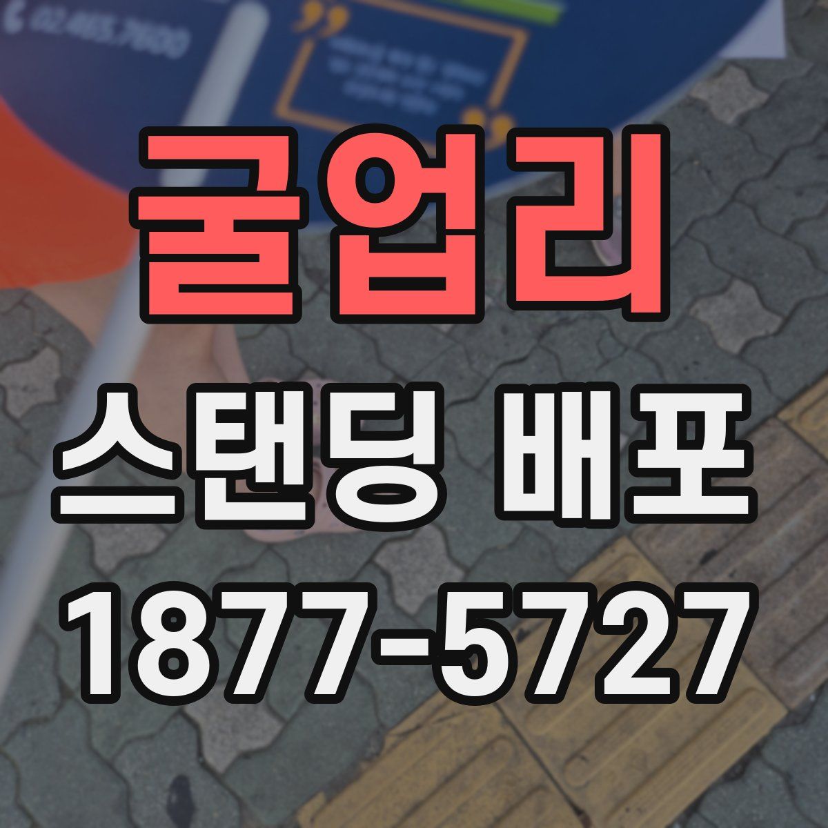 굴업리 스탠딩 배포