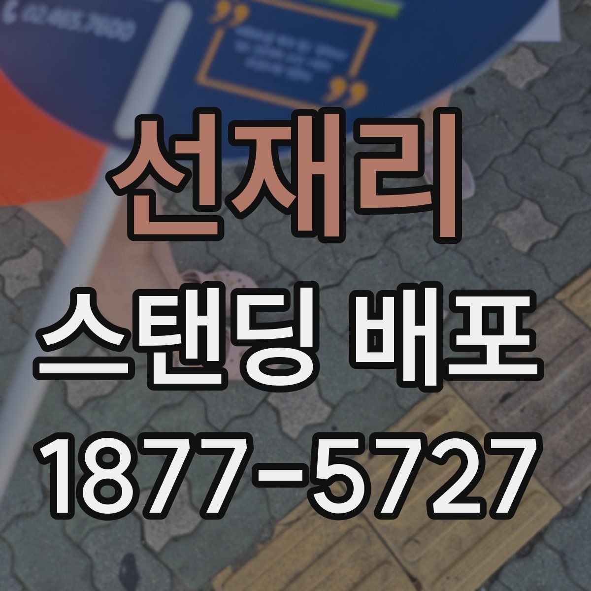 선재리 스탠딩 배포