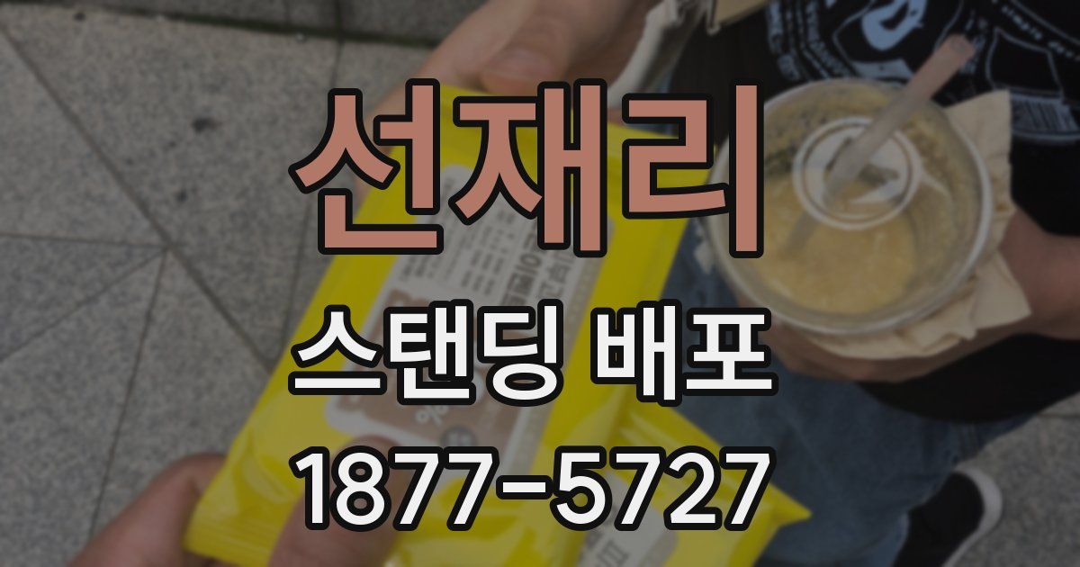 선재리 스탠딩 배포