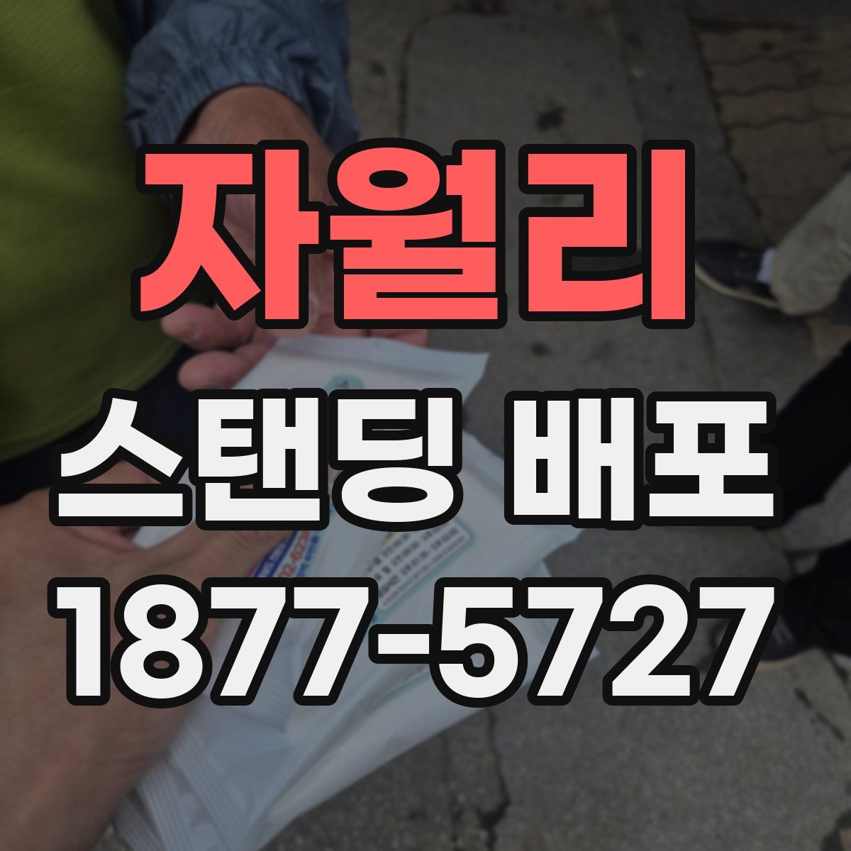 자월리 스탠딩 배포