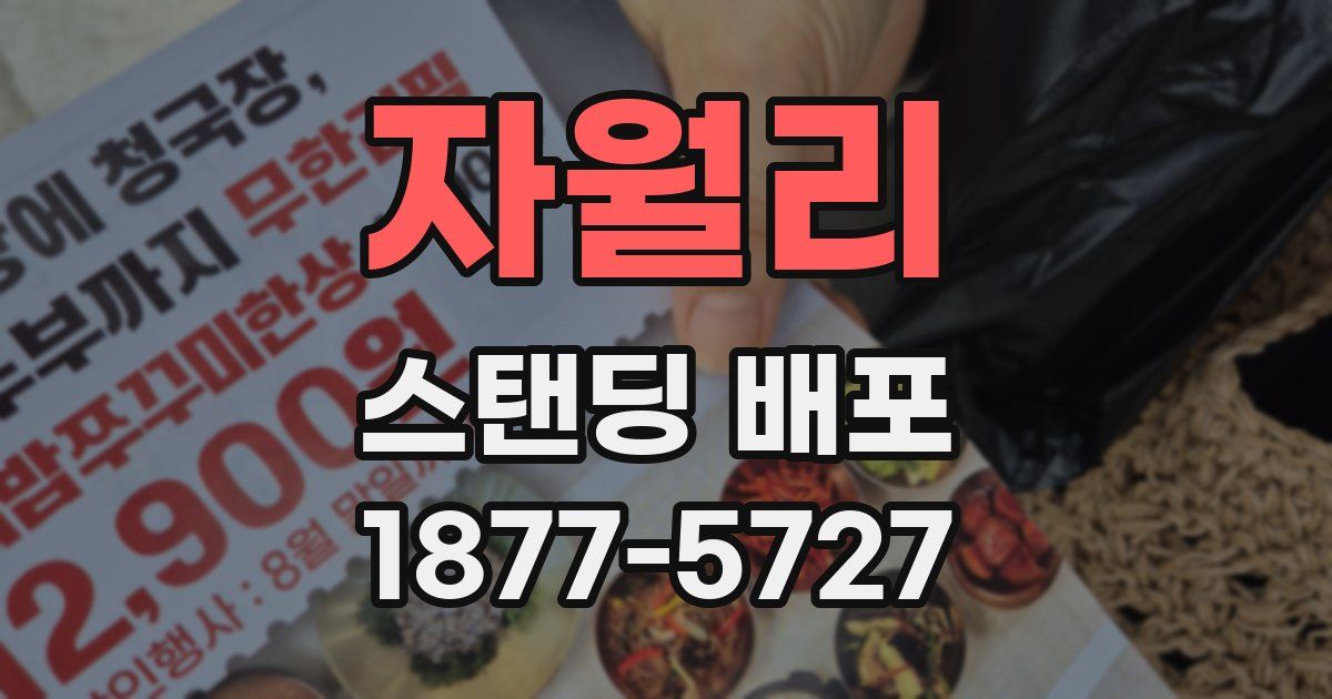 자월리 스탠딩 배포
