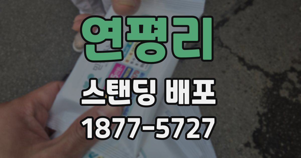 연평리 스탠딩 배포