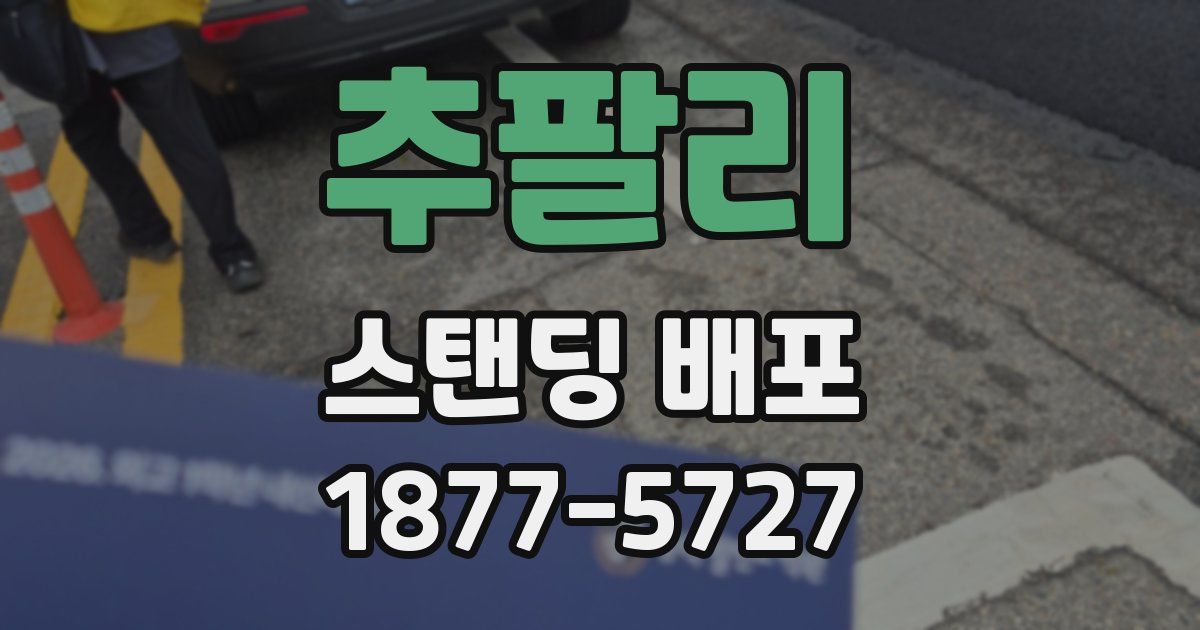 추팔리 스탠딩 배포