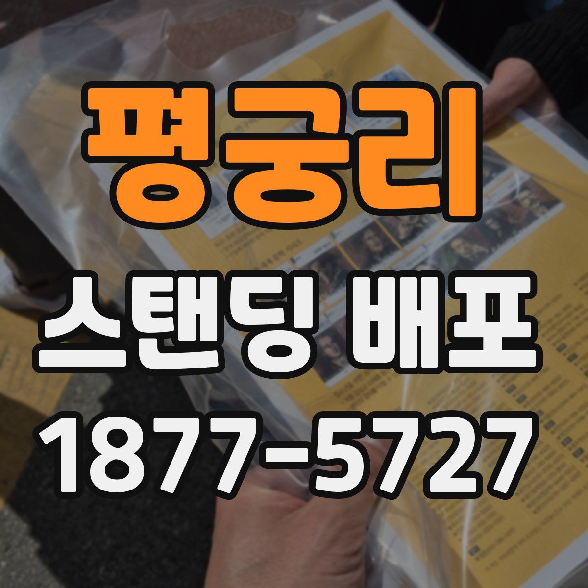 평궁리 스탠딩 배포