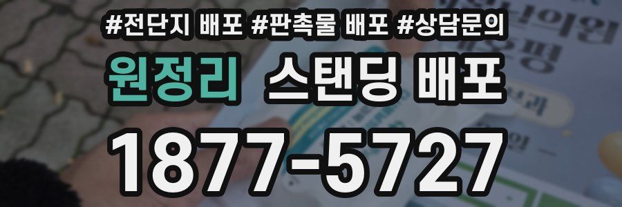 원정리 스탠딩 배포