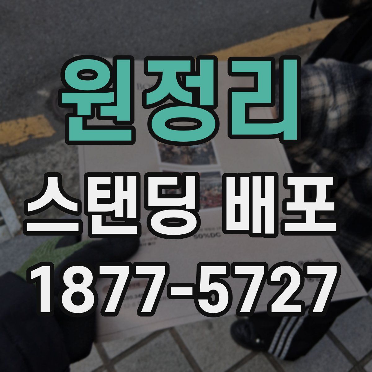 원정리 스탠딩 배포