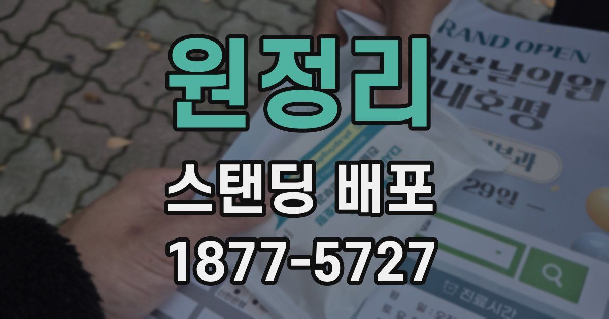 원정리 스탠딩 배포
