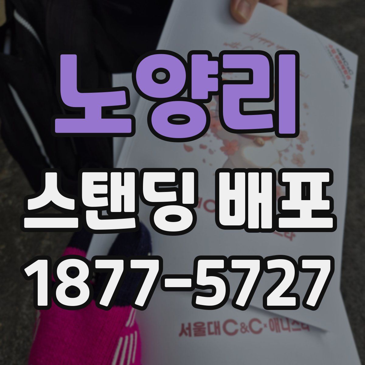 노양리 스탠딩 배포