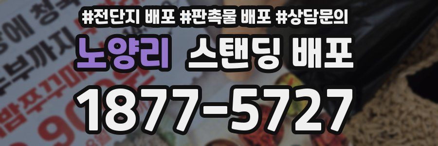 노양리 스탠딩 배포
