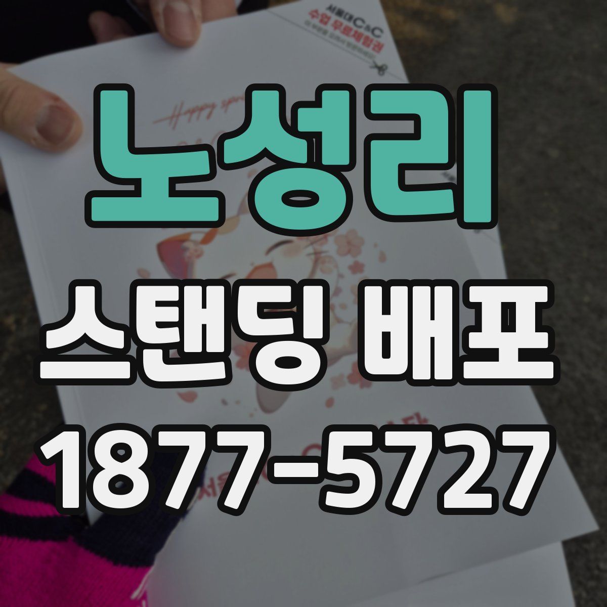 노성리 스탠딩 배포