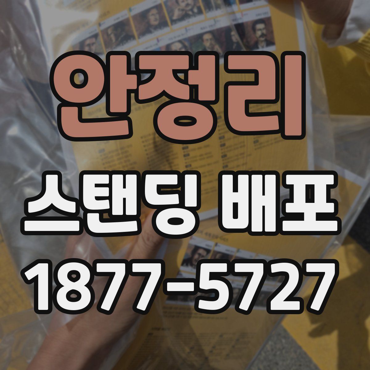 안정리 스탠딩 배포