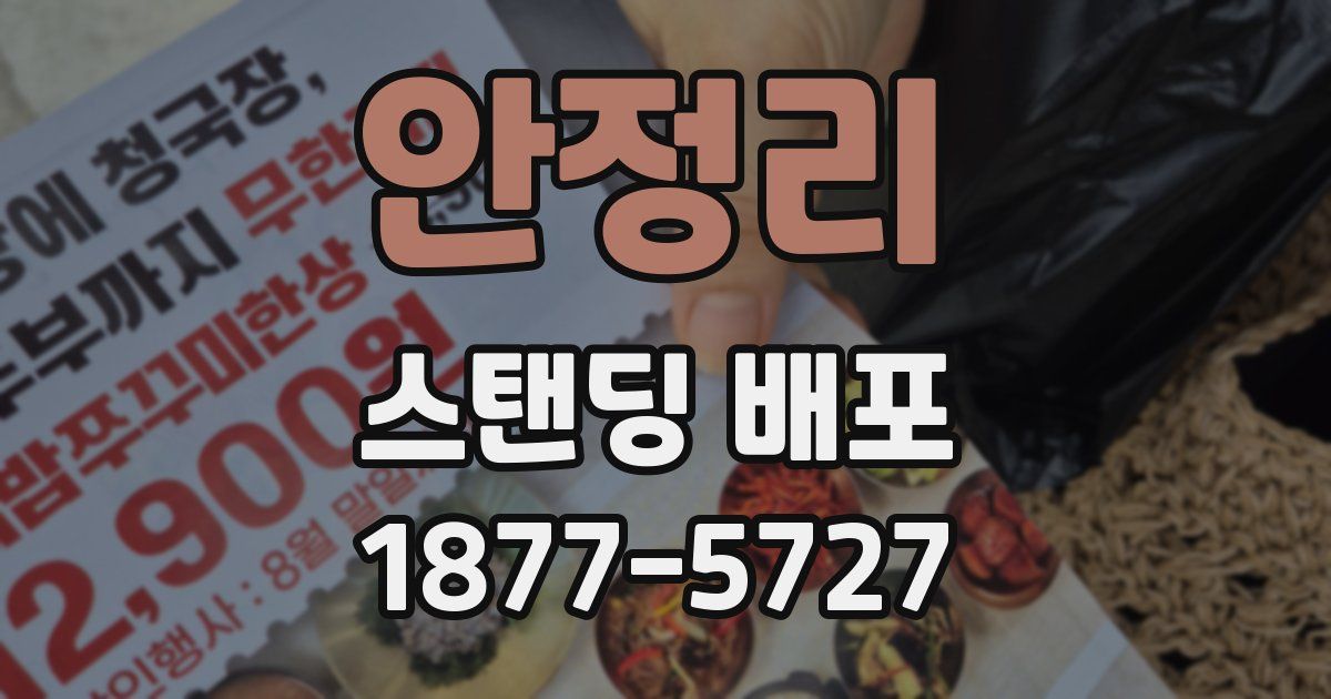 안정리 스탠딩 배포
