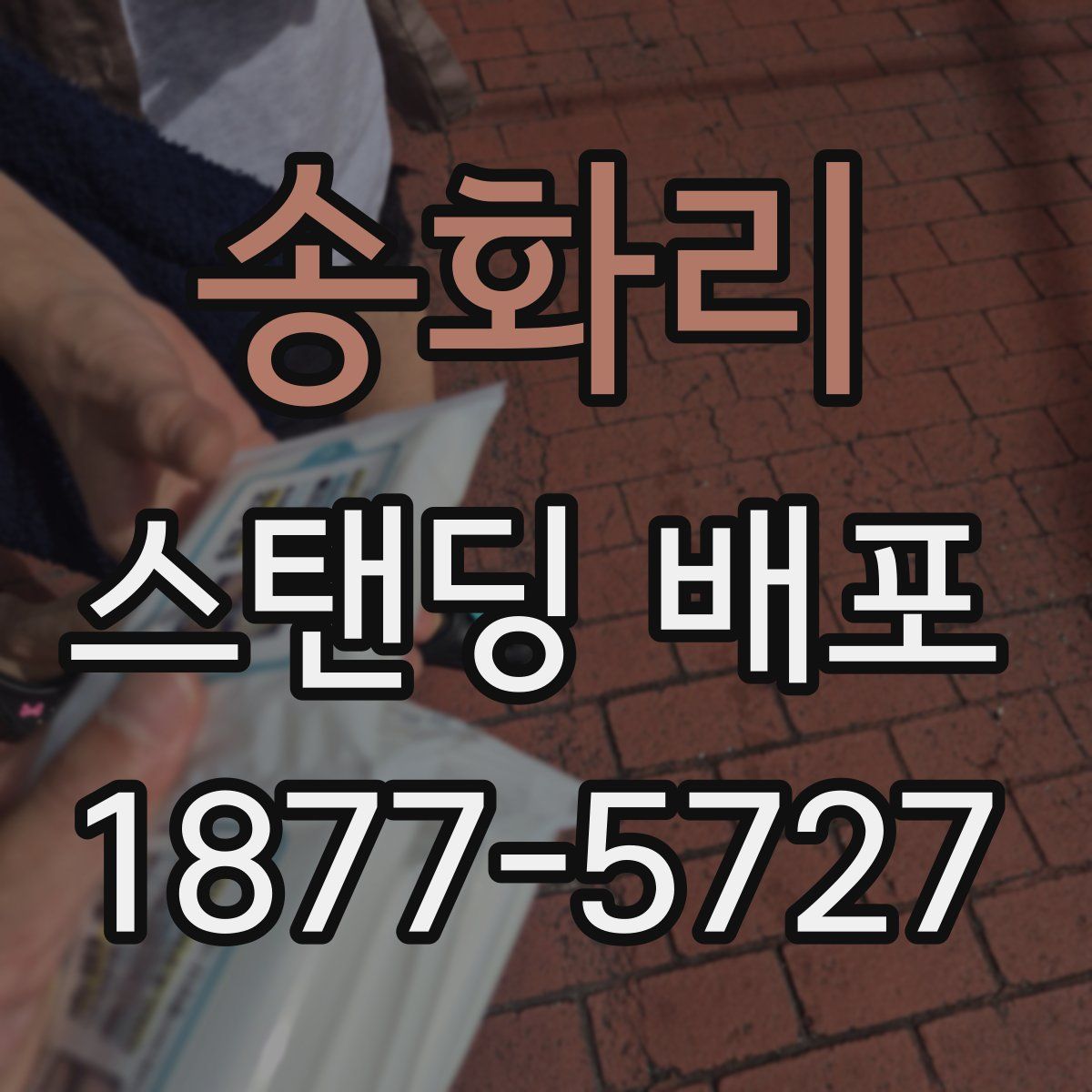 송화리 스탠딩 배포