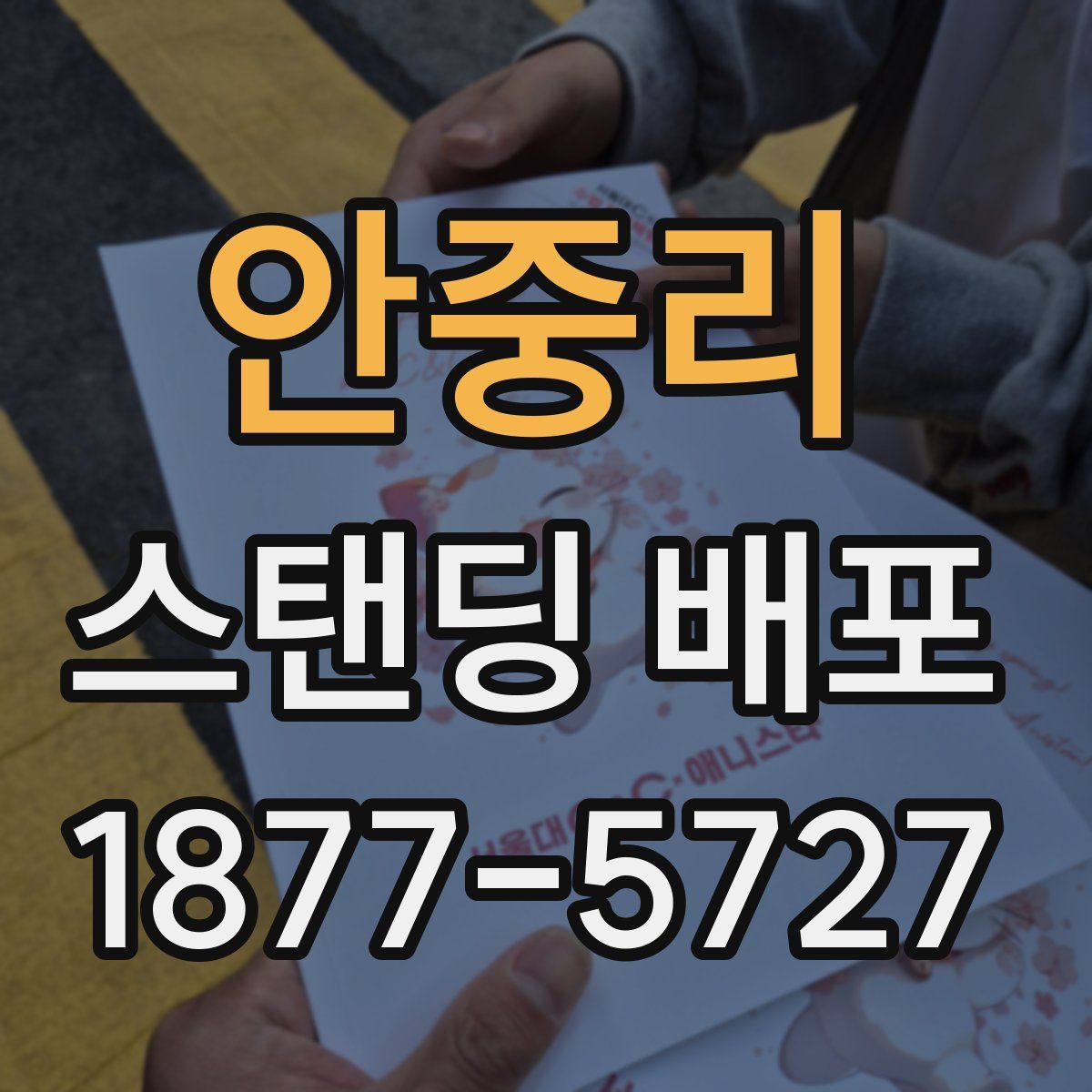 안중리 스탠딩 배포