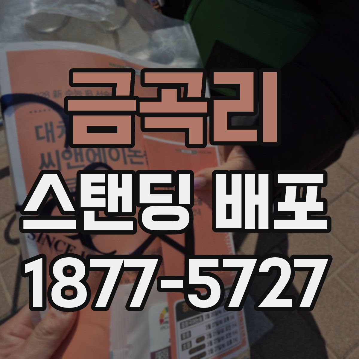 금곡리 스탠딩 배포