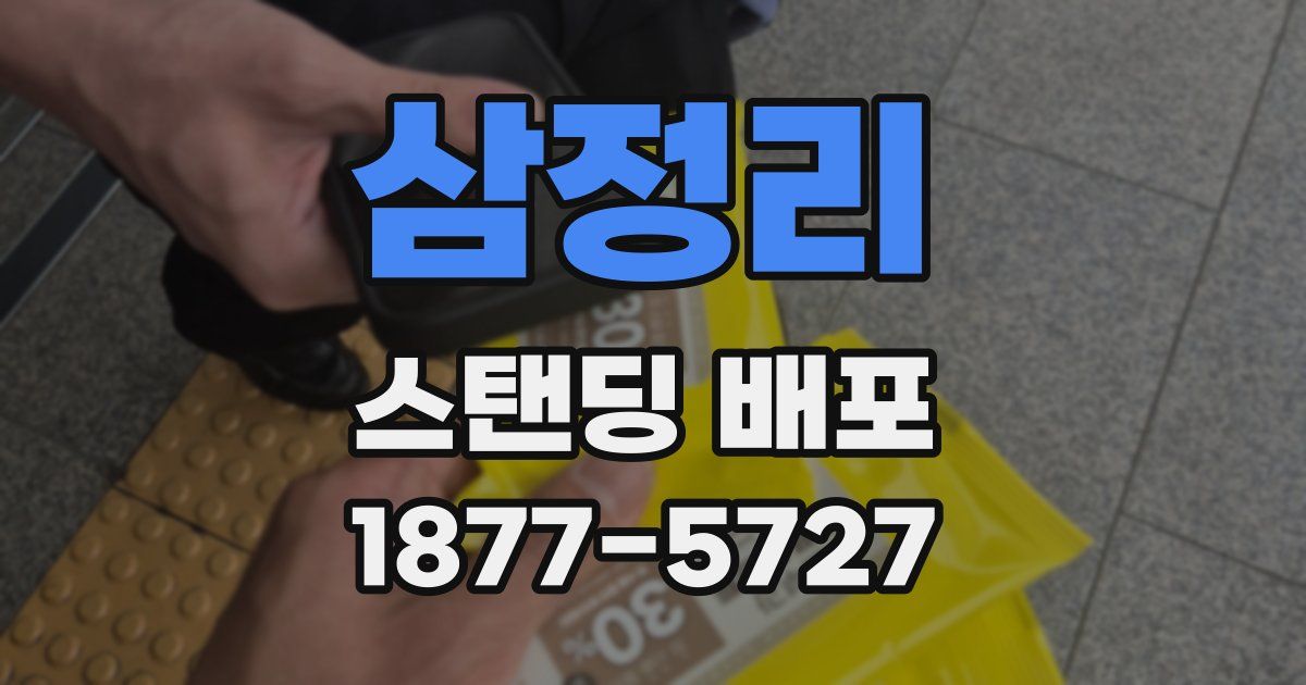삼정리 스탠딩 배포