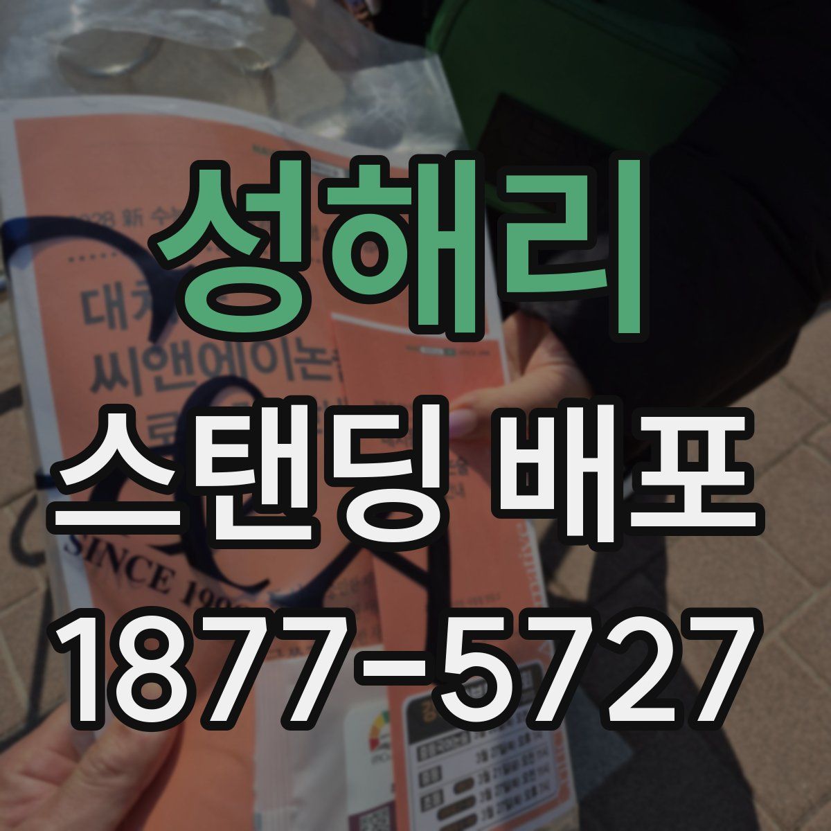 성해리 스탠딩 배포