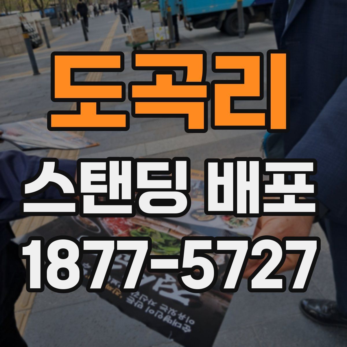 도곡리 스탠딩 배포