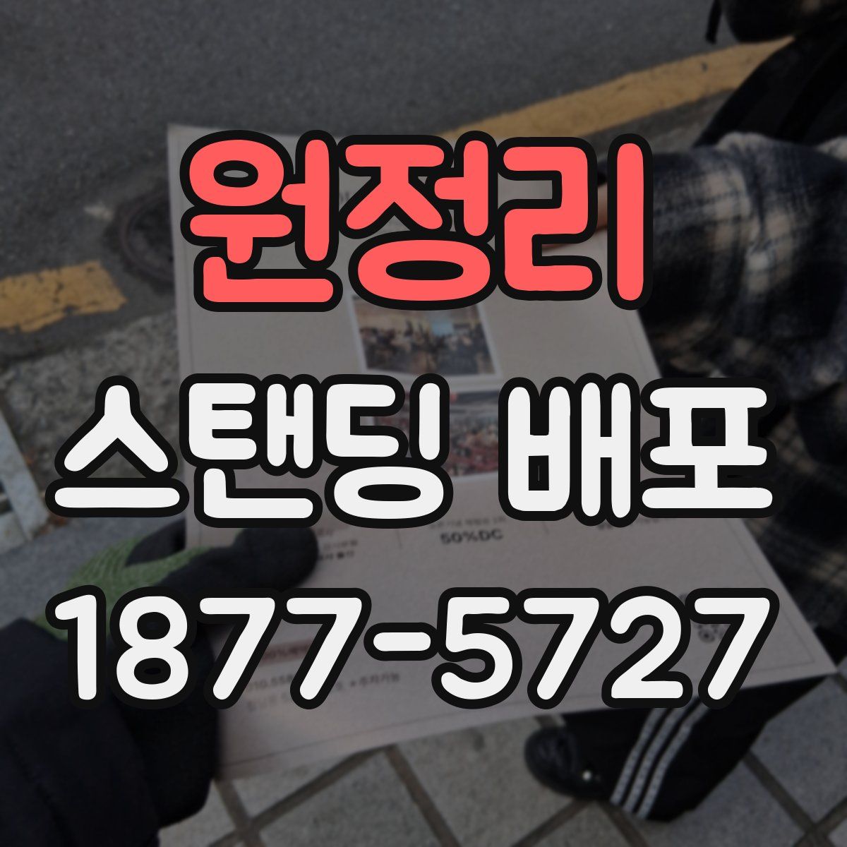 원정리 스탠딩 배포