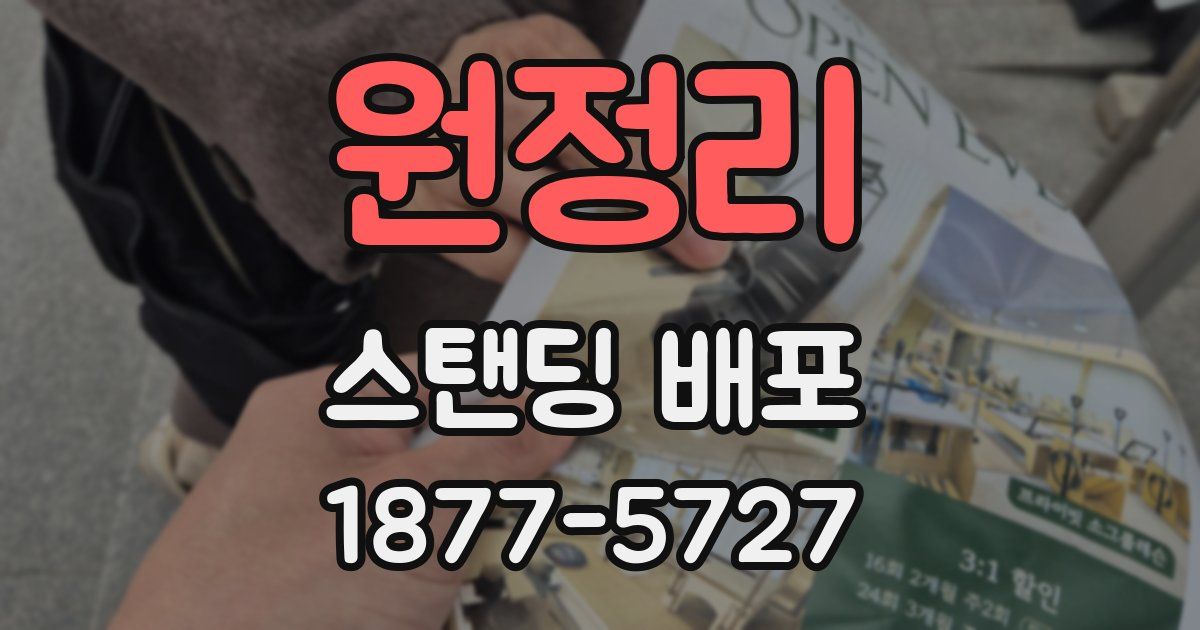 원정리 스탠딩 배포