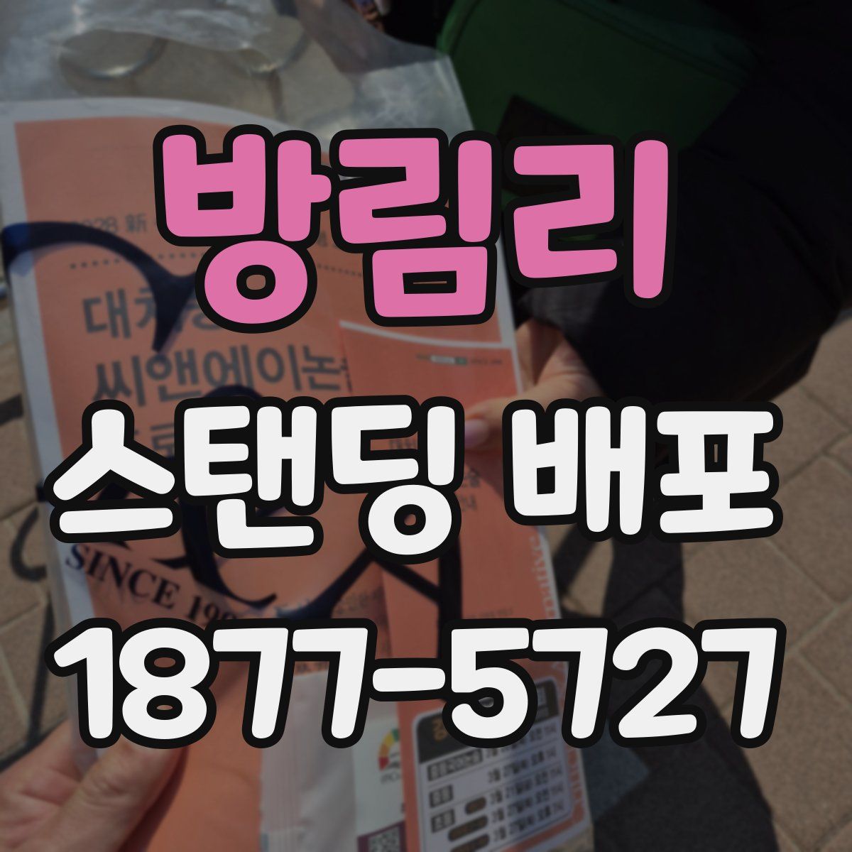 방림리 스탠딩 배포