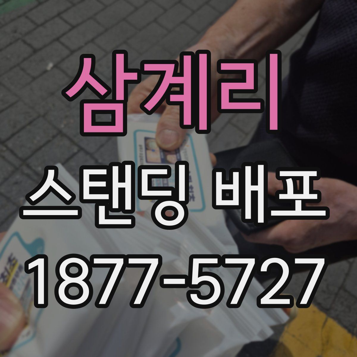 삼계리 스탠딩 배포