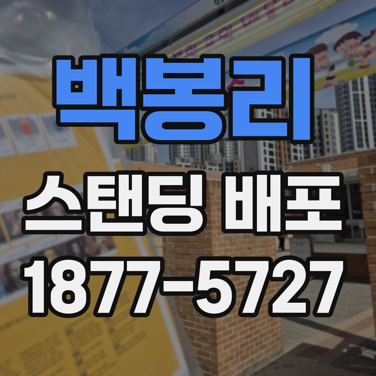 백봉리 스탠딩 배포