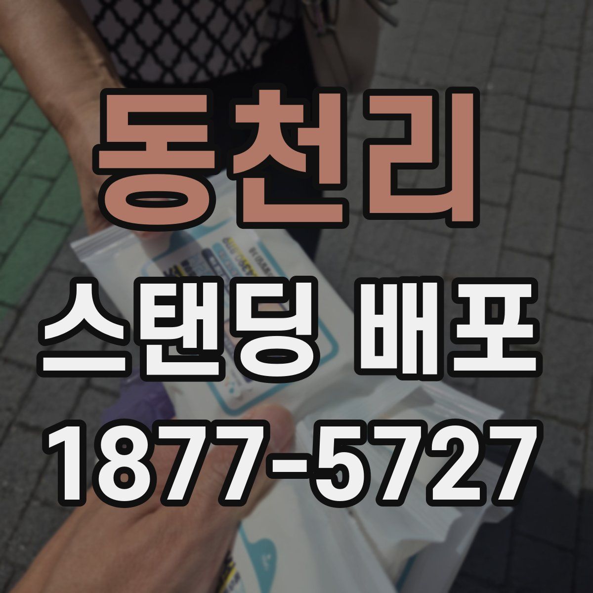 동천리 스탠딩 배포