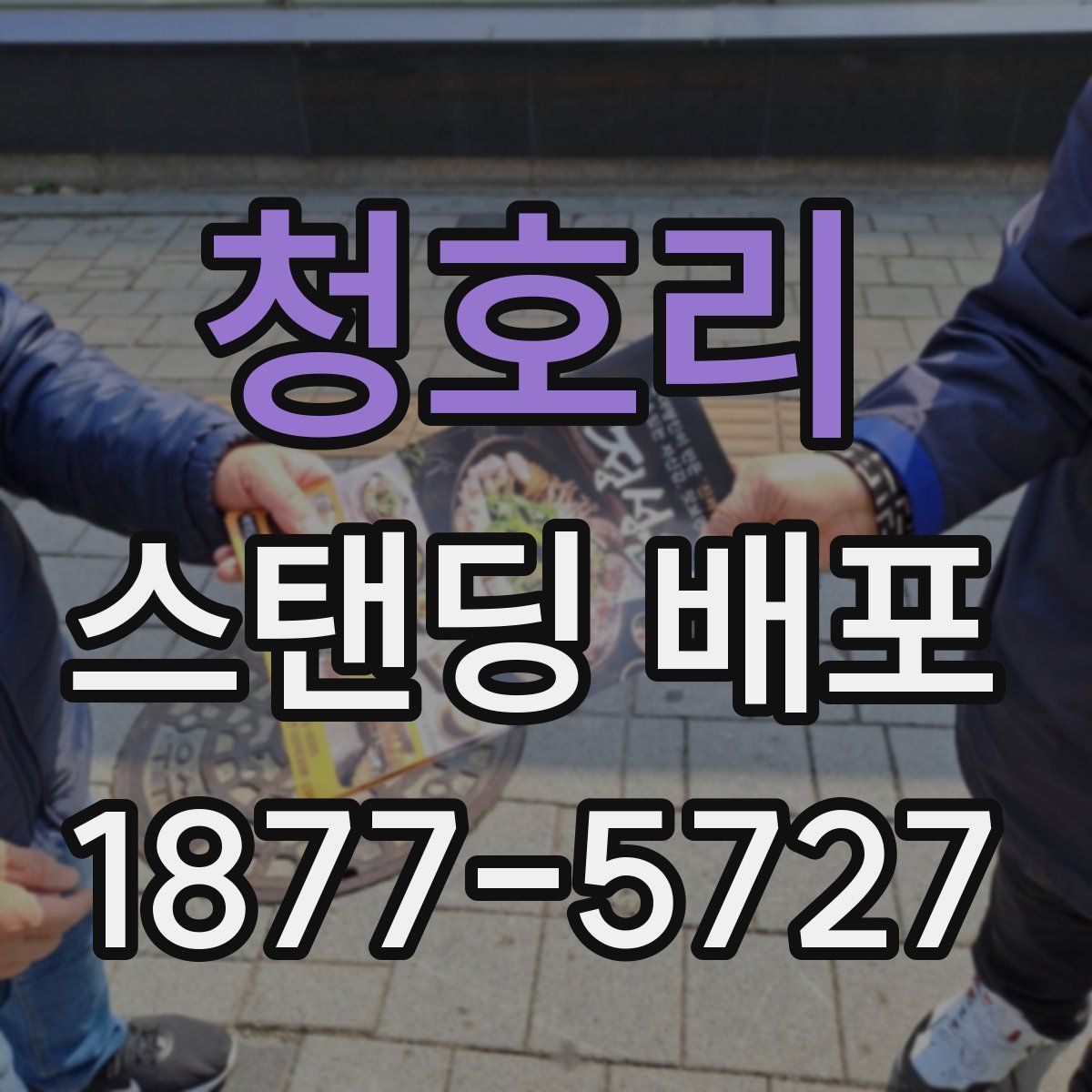 청호리 스탠딩 배포