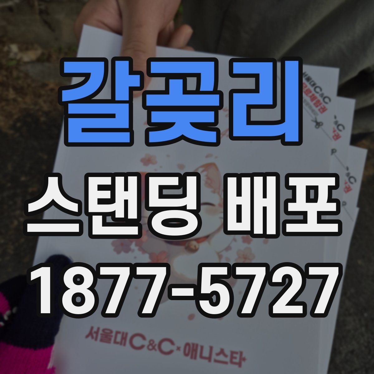 갈곶리 스탠딩 배포