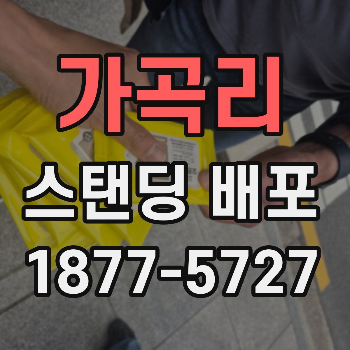 가곡리 스탠딩 배포