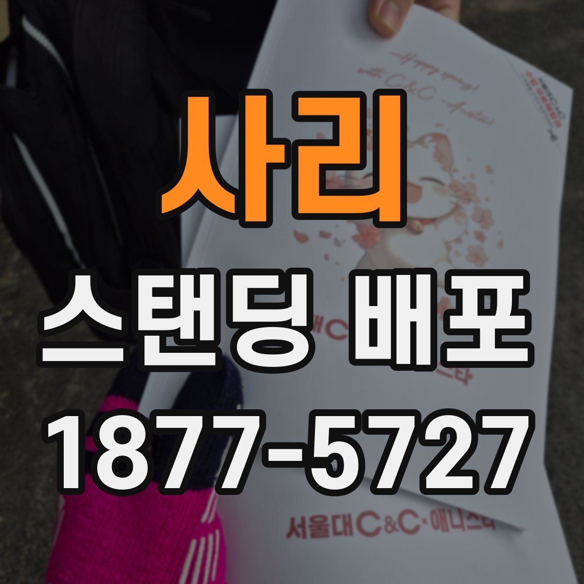 사리 스탠딩 배포