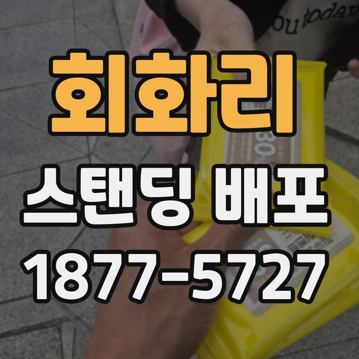 회화리 스탠딩 배포