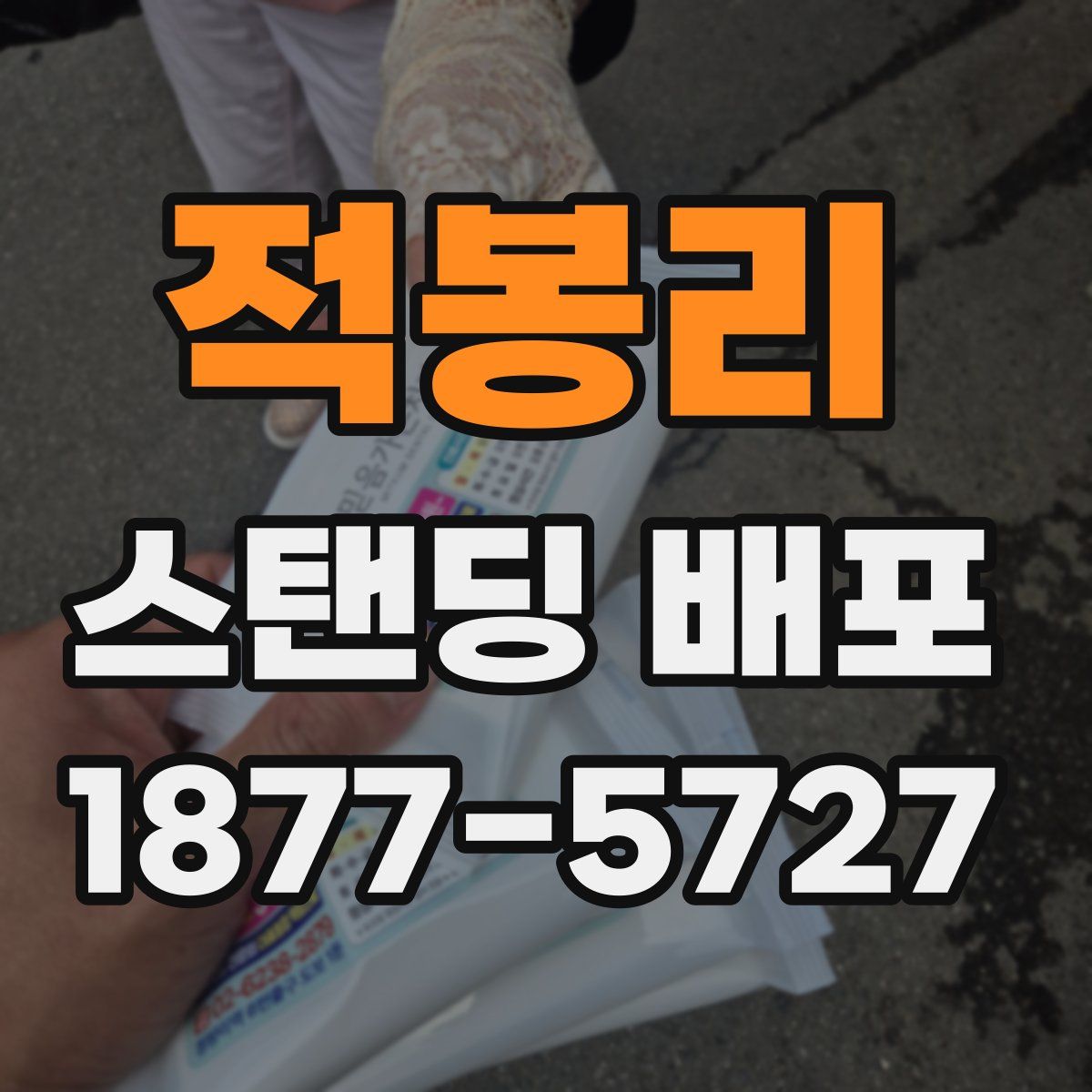 적봉리 스탠딩 배포