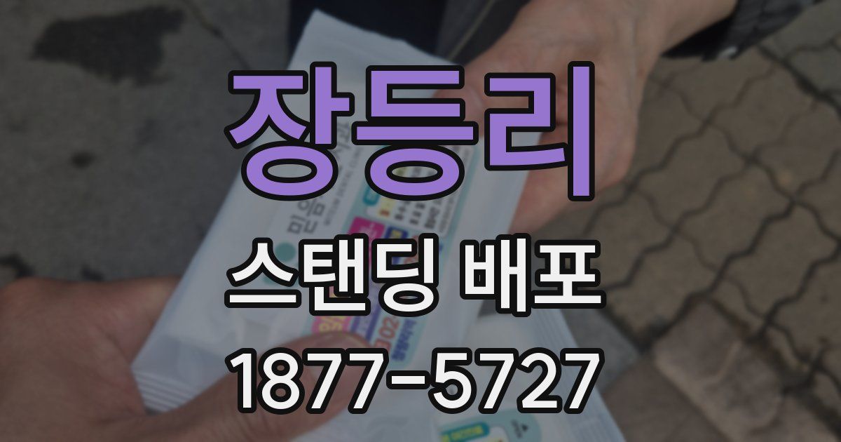 장등리 스탠딩 배포