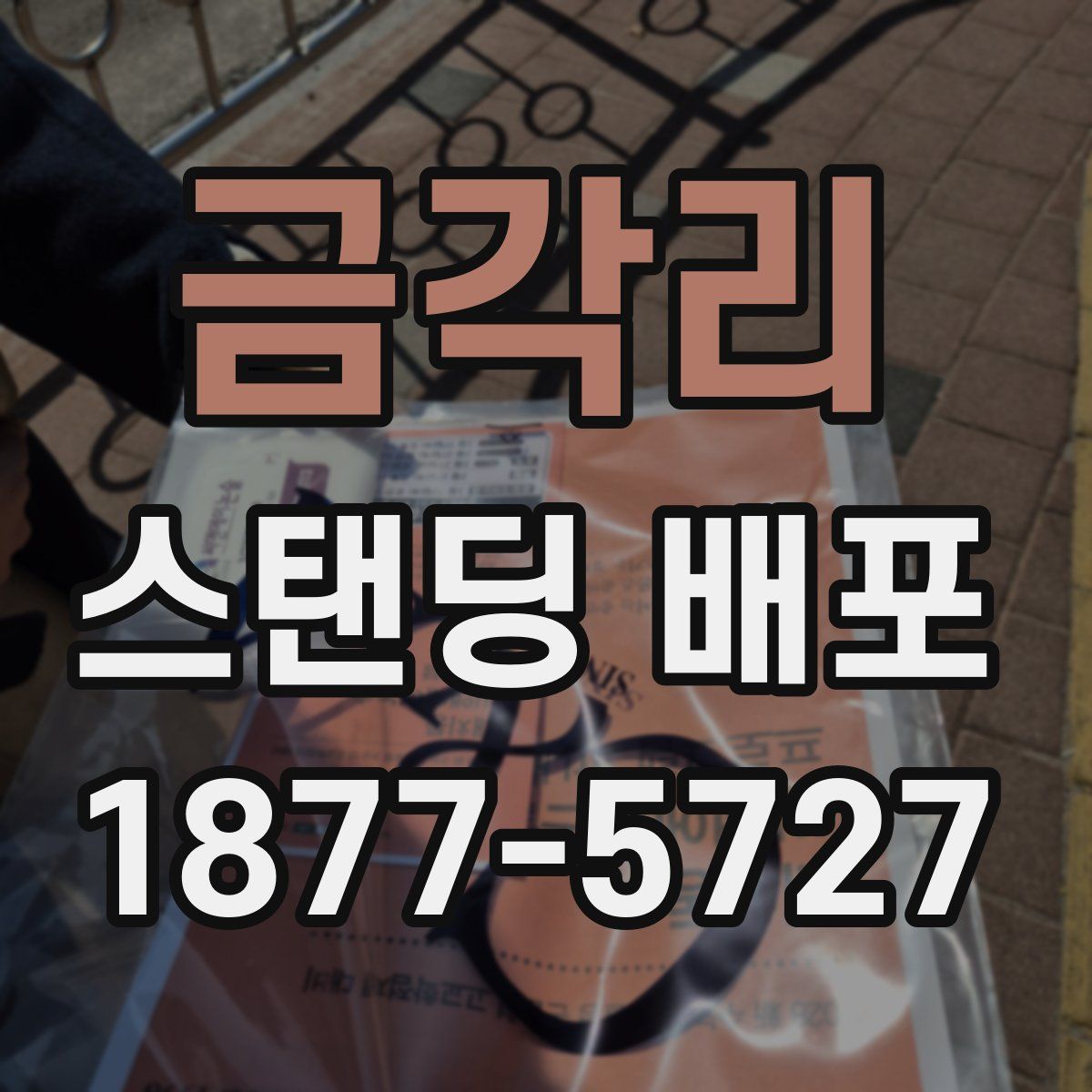 금각리 스탠딩 배포