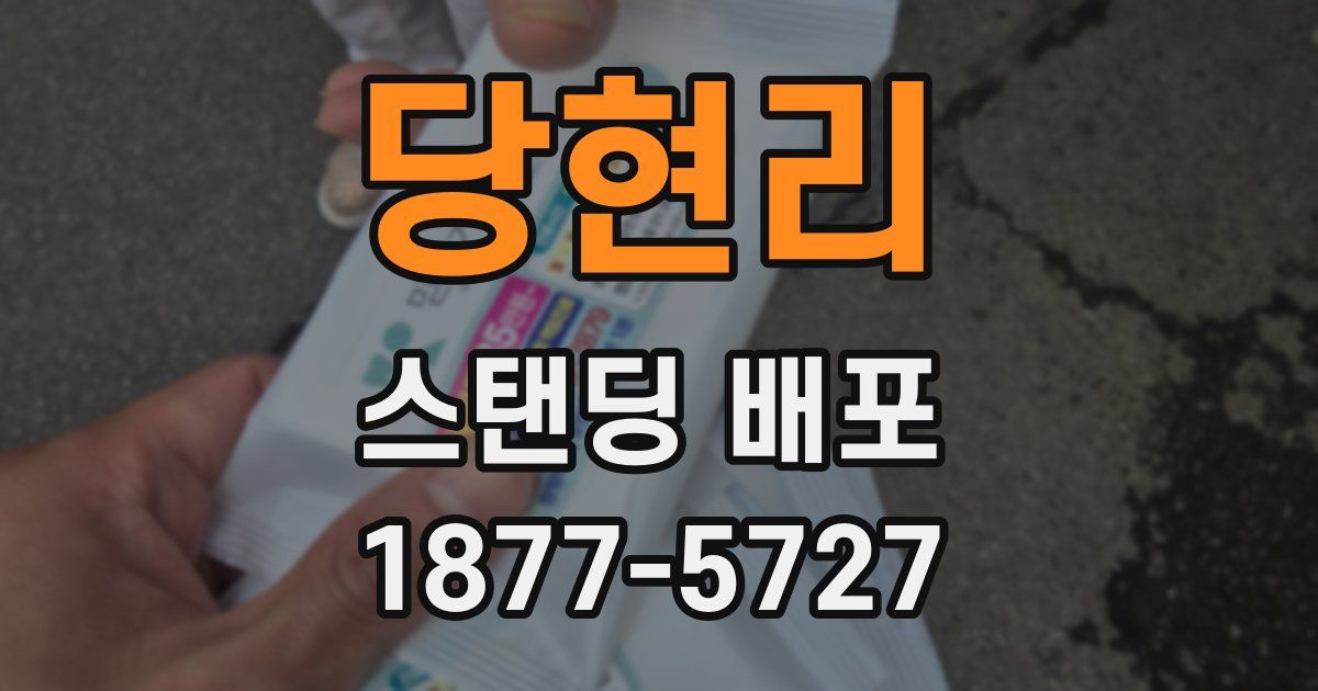 당현리 스탠딩 배포