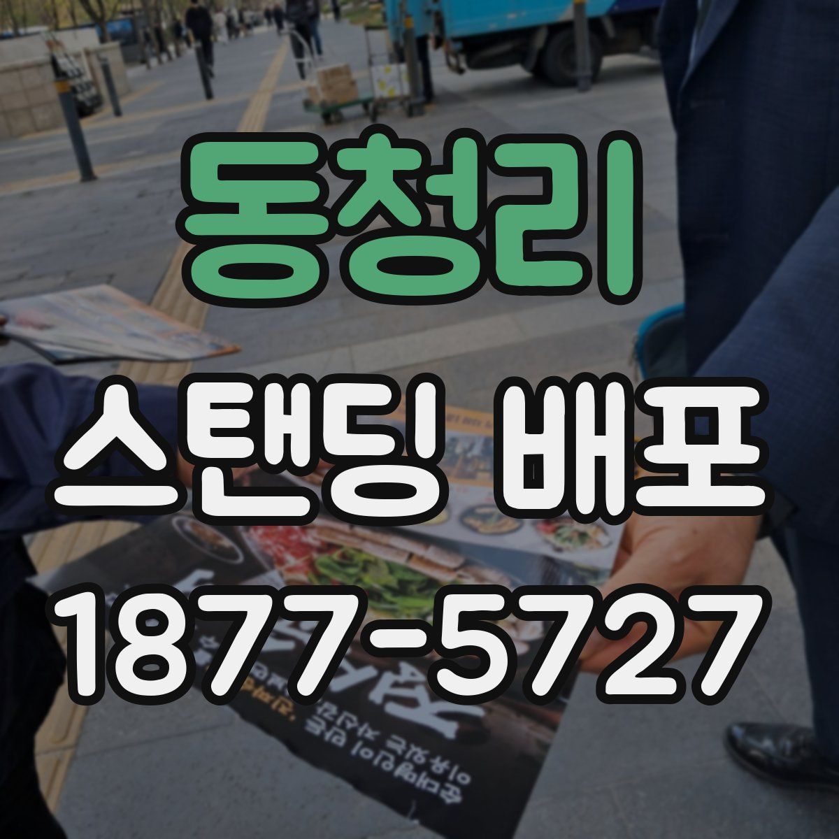 동청리 스탠딩 배포